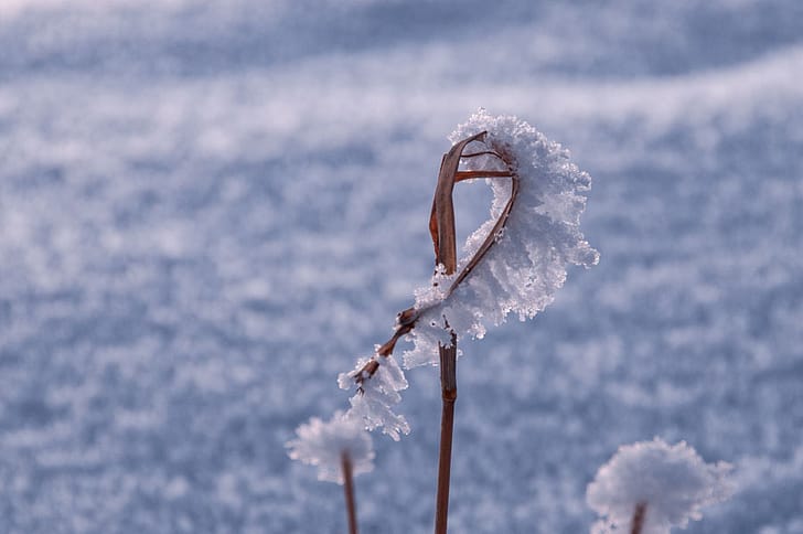 winter landscape photography