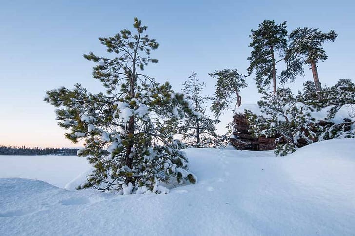 winter landscape photography
