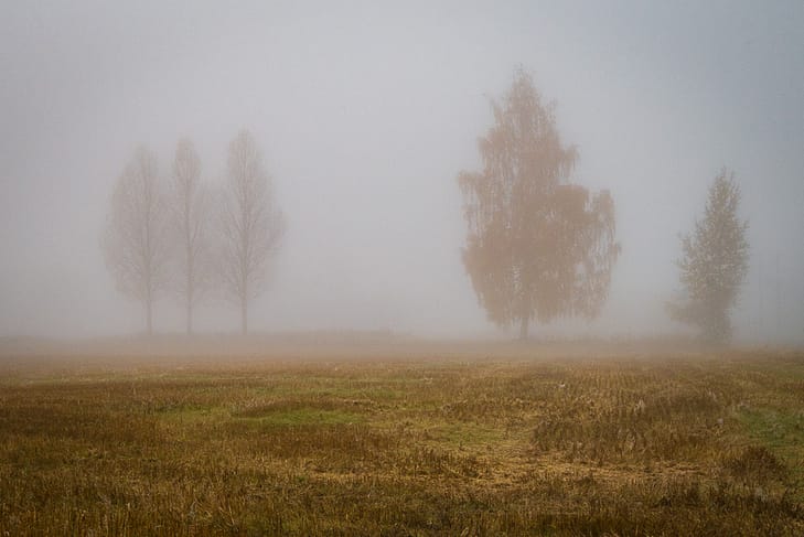 foggy autumn morning