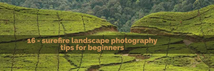 landscape photography tips for beginners
