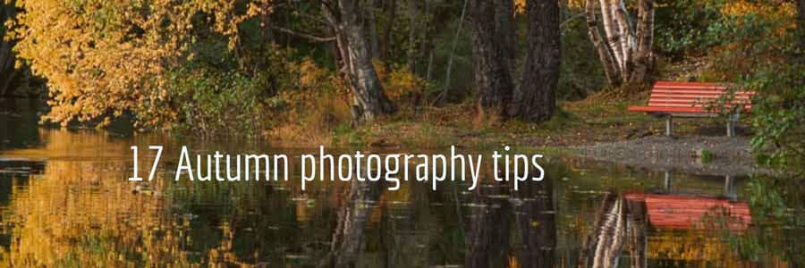 autumn photography tips